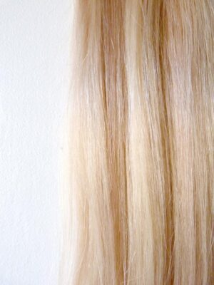 Weave / Wefts